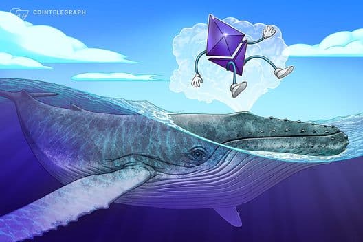 Ether Whales Are Accumulating: What This Means for the Market