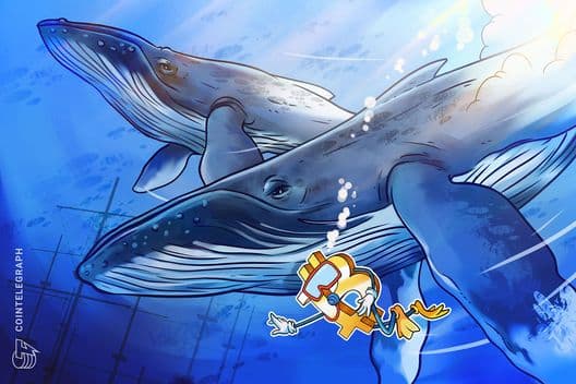 Unmasking Bitcoin Whales: Market Movers and Red Flags